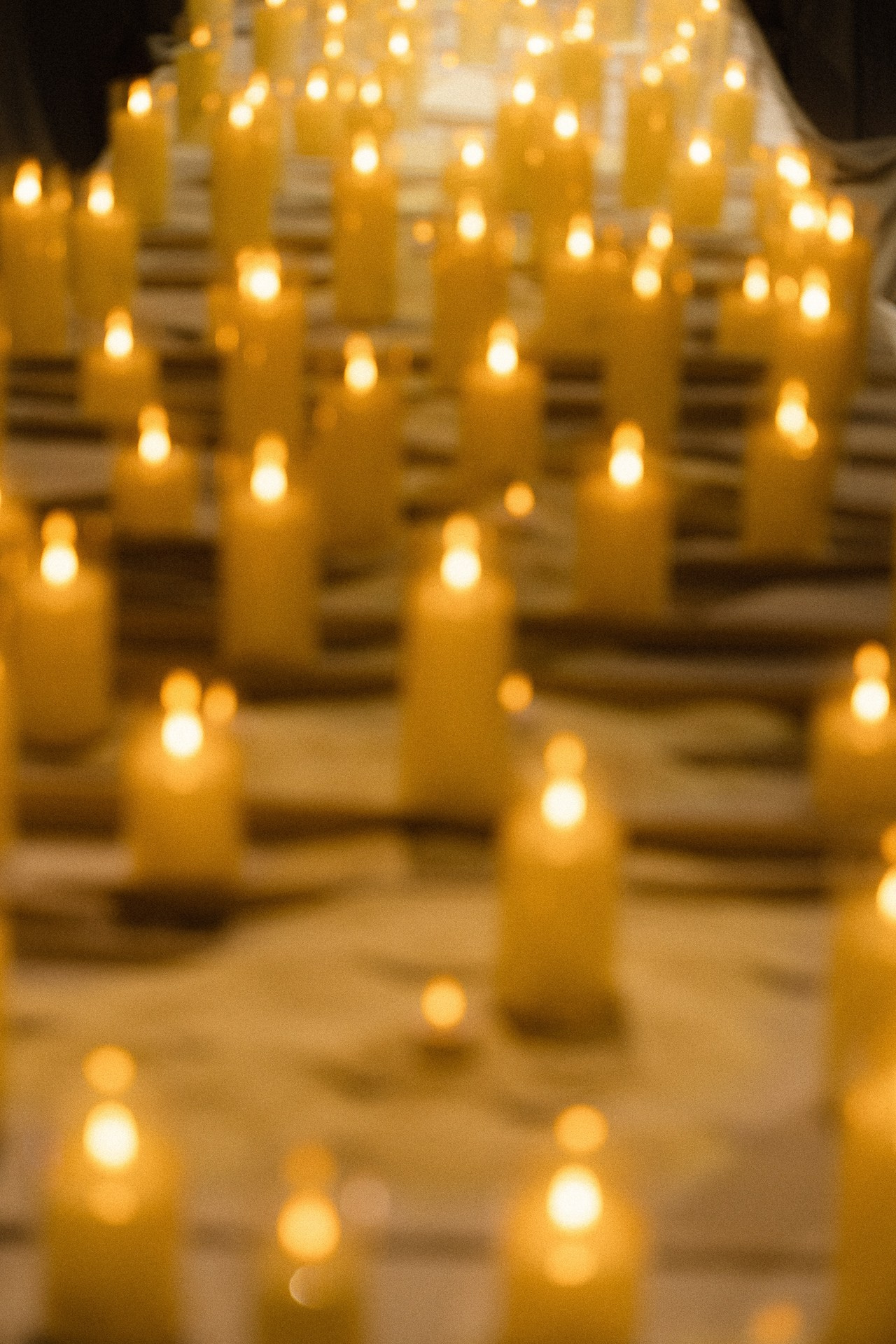 Никита и Арина. Свадебный фотограф в Белгороде Антон Каменев