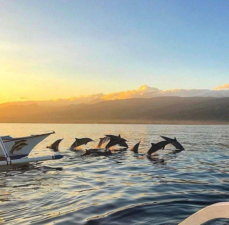 Тур на Бали. Главная