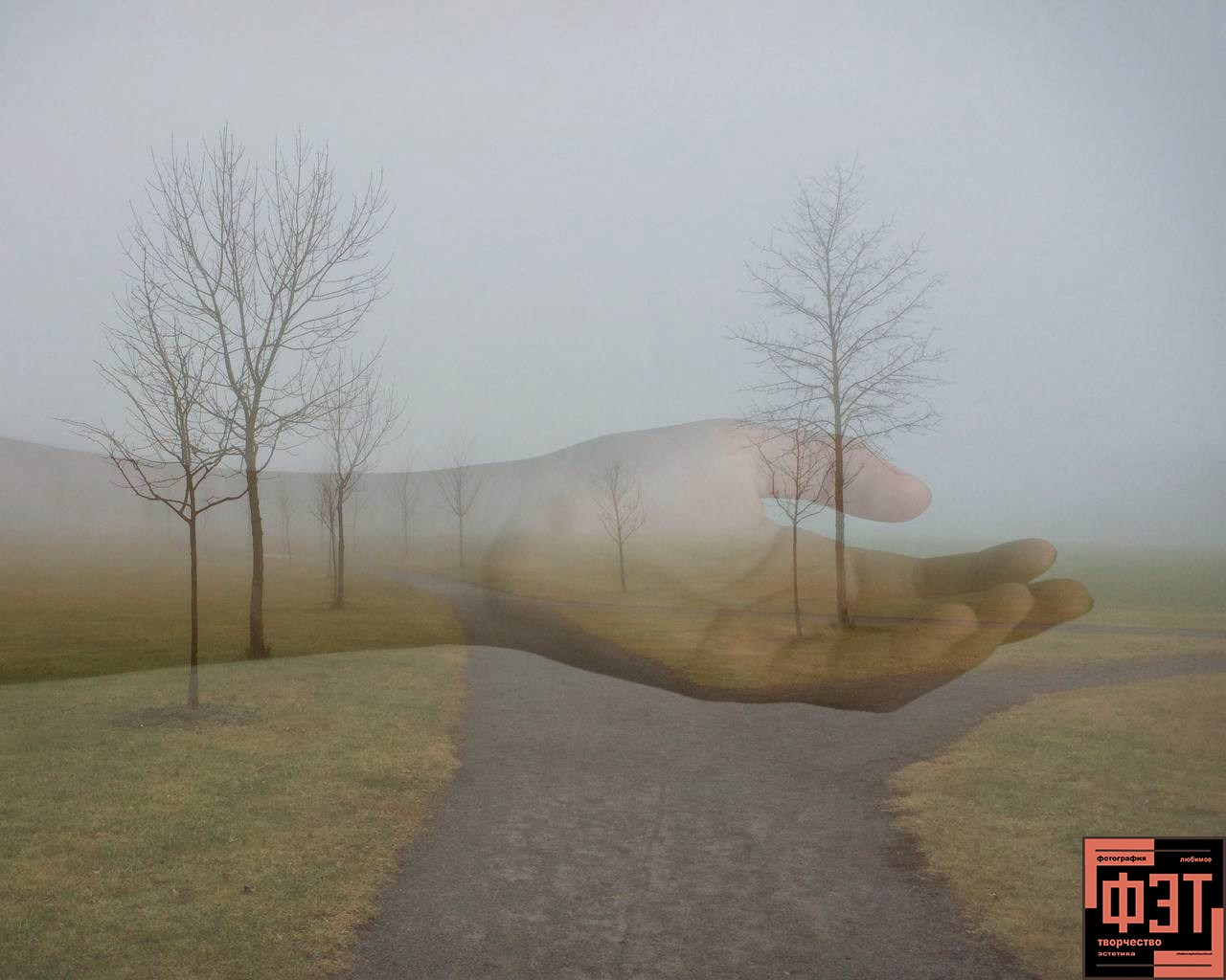 Фотопроект «ФЭТ: Фотография, Эстетика, Творчество»