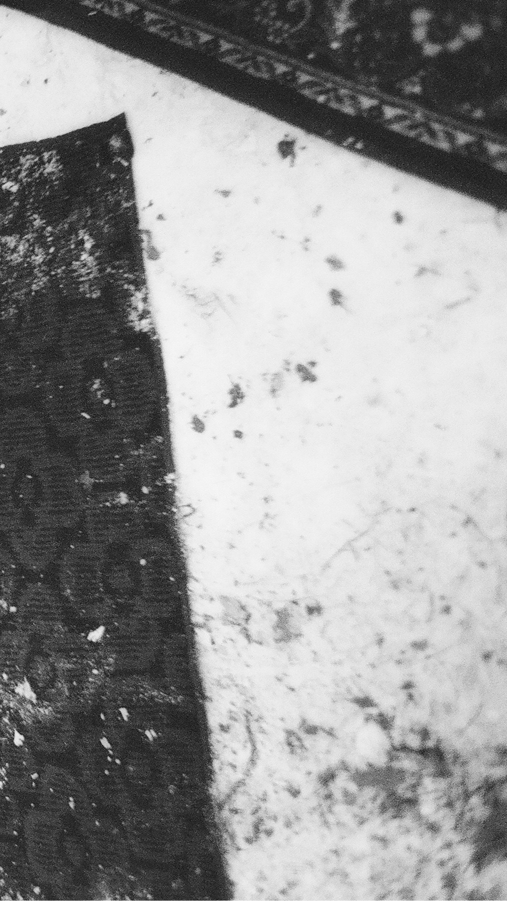 ЖЕНЩИНЫ, ВЫБИВАЮЩИЕ КОВРЫ. Художественная группа «Нежные Бабы»