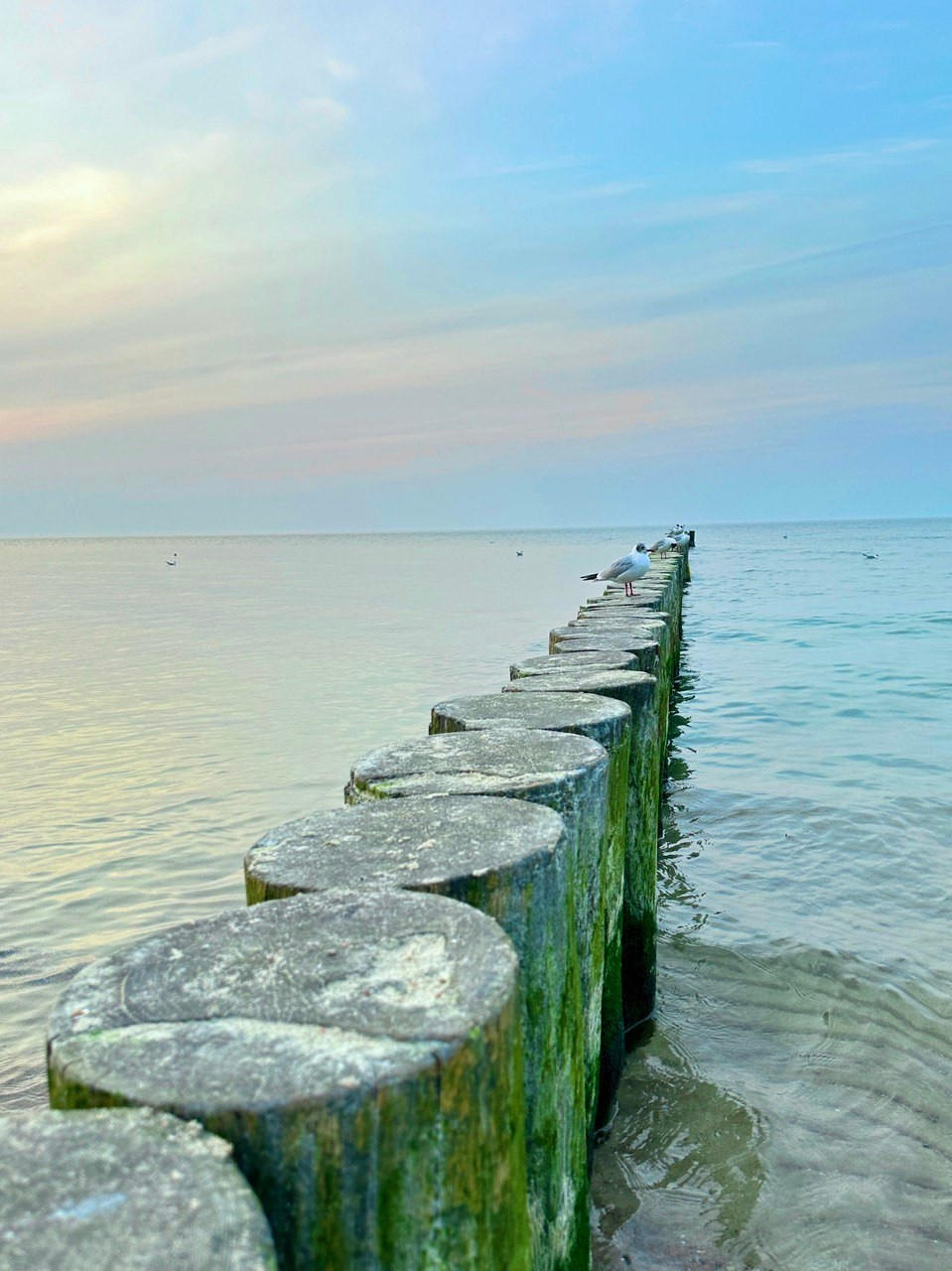 Фототур «Свет янтаря в сердце Балтики». Ольга Котова