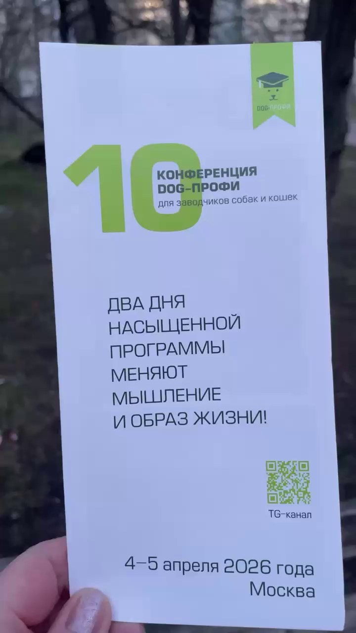 DOG-ПРОФИ 2026. Питомник китайских хохлатых собак Poale Ell: купить щенка в питомнике