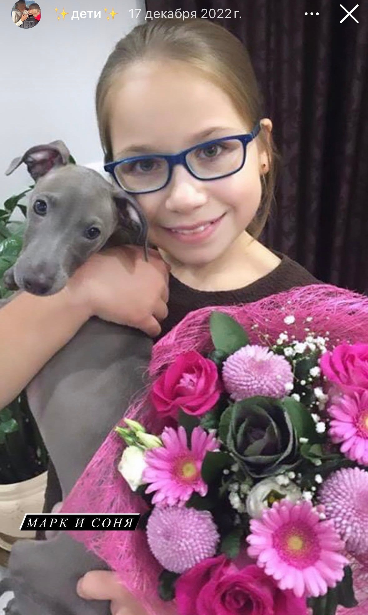 Левретка и ребенок: нежная дружба. Профессиональный питомник левреток РКФ/FCI ASTI SAPPHIRE 💎 Сочи|Санкт-Петербург