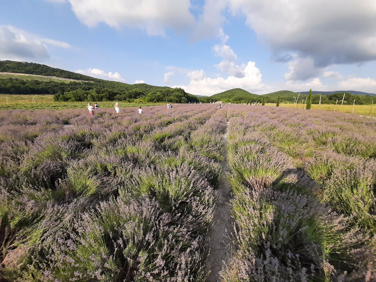МЕСТА ДЛЯ ФОТОСЕССИИ В АНАПЕ. Свадебный и семейный фотограф/видеограф в Краснодаре Наталья Осинская