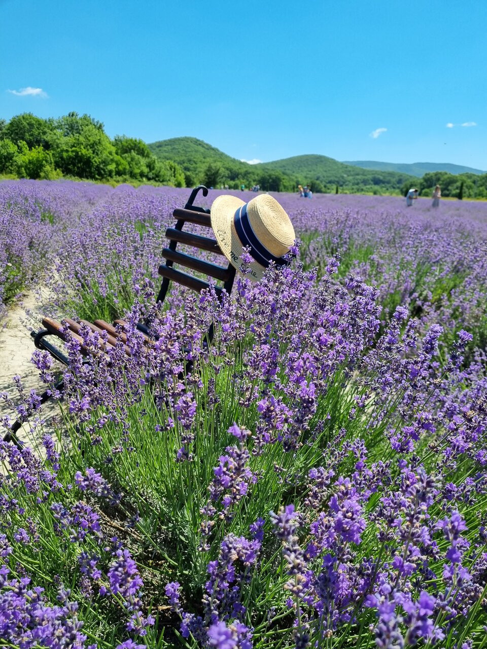 МЕСТА ДЛЯ ФОТОСЕССИИ В АНАПЕ. Свадебный и семейный фотограф/видеограф в Краснодаре Наталья Осинская