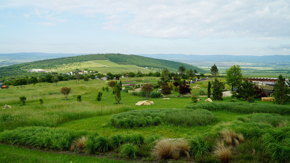 МЕСТА ДЛЯ ФОТОСЕССИИ В АНАПЕ. Свадебный и семейный фотограф/видеограф в Краснодаре Наталья Осинская