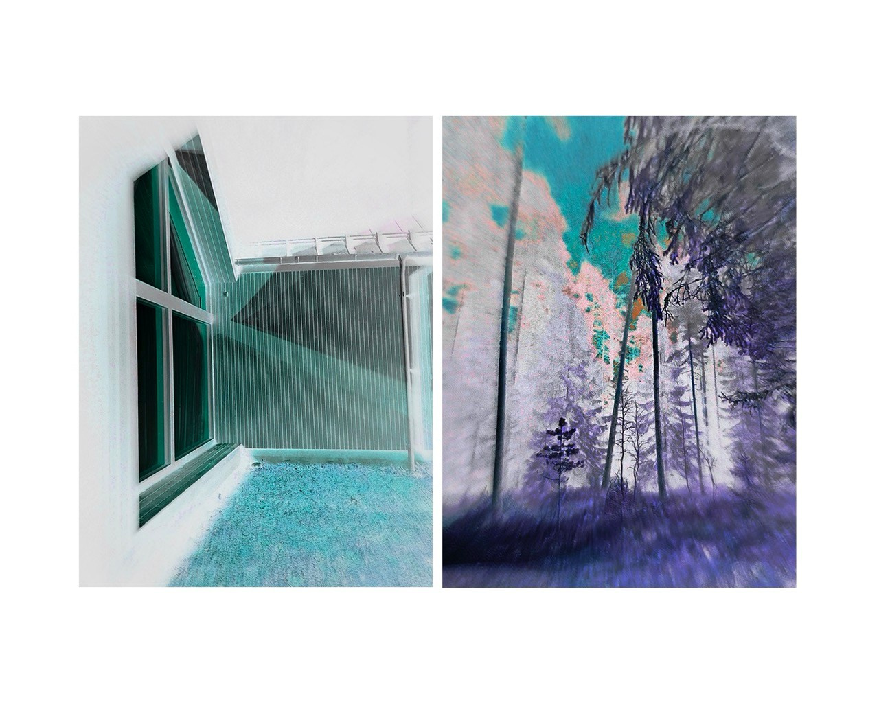 DIPTYCH STORY. VISUAL ARTIST
