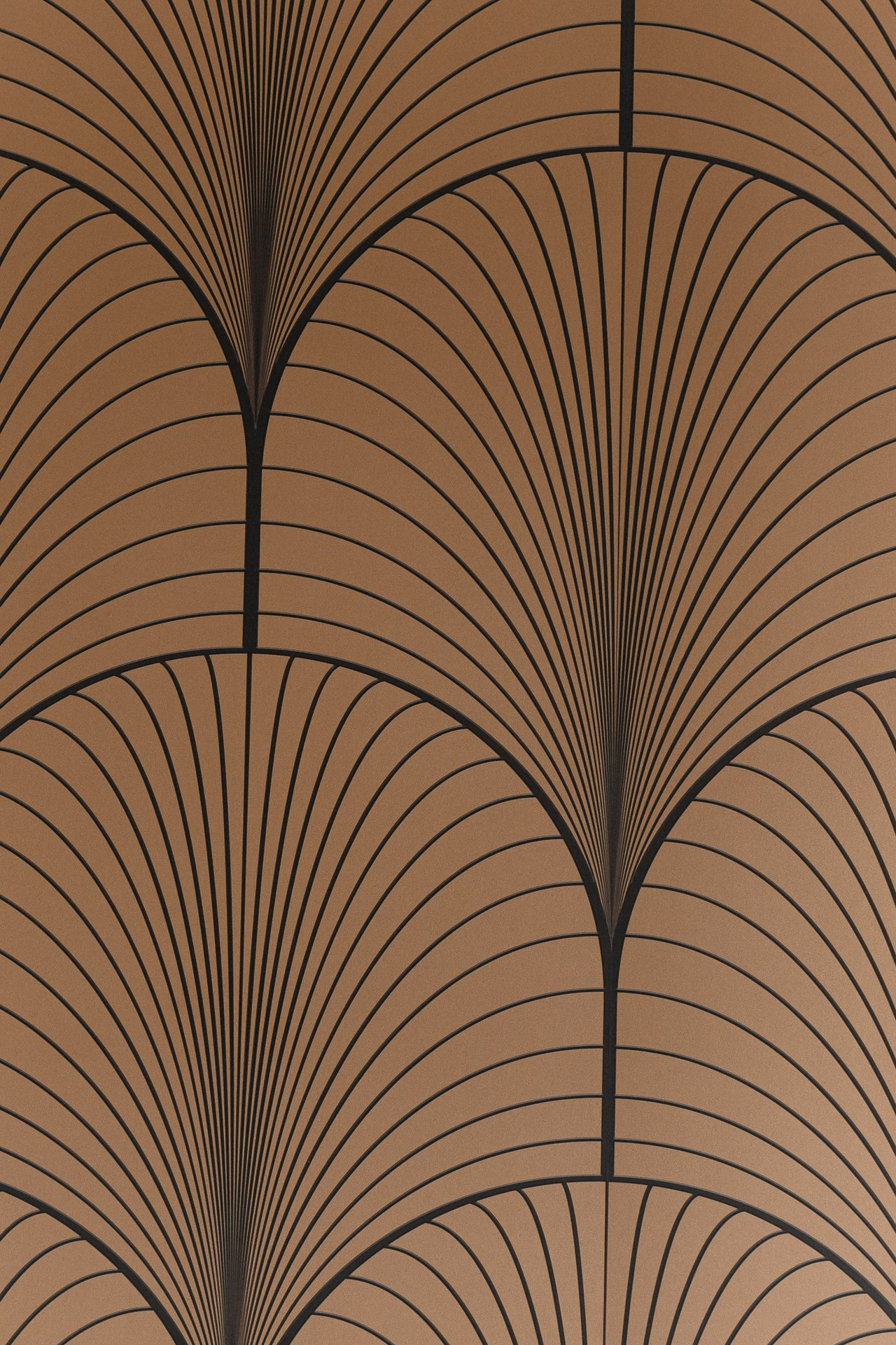 Сергей и Дарья. Свадебный фотограф в Белгороде Антон Каменев