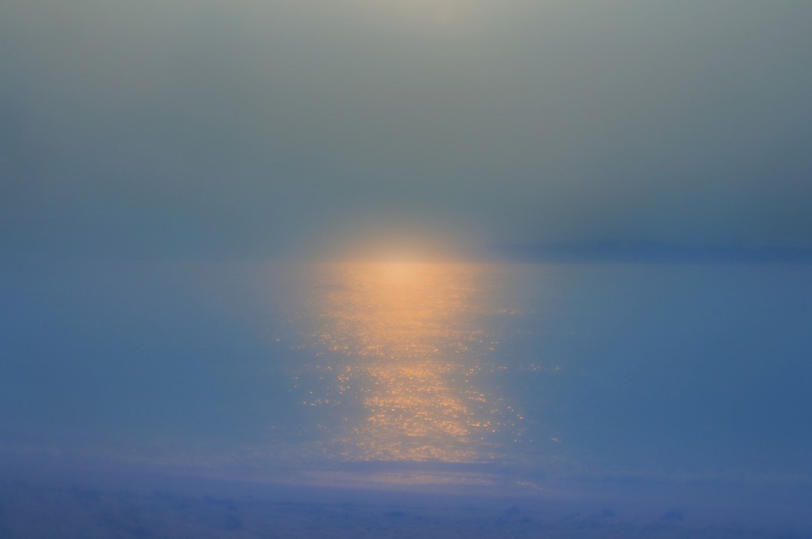 ФОТОГРАФИЯ. CONTEMPORARY ARTIST OLGA ANDRIYASH