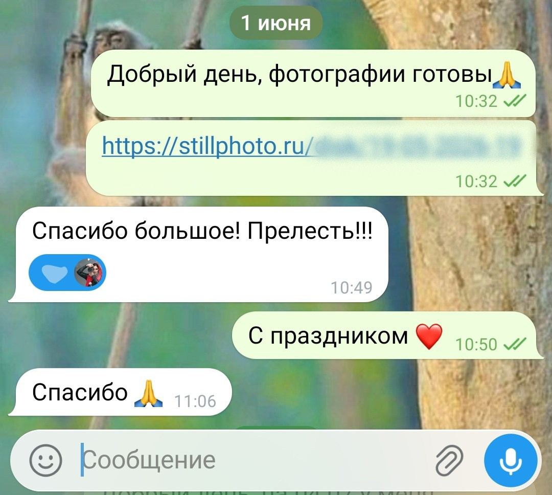 Фотосессии в Санкт-Петербурге со скидкой от -30%!