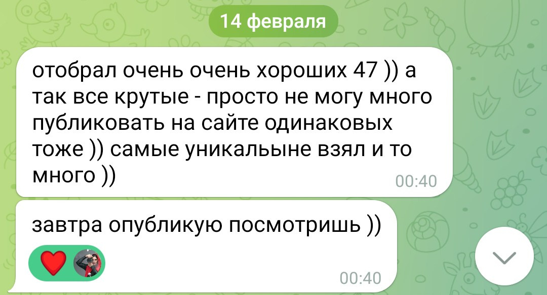 Фотосессии в Санкт-Петербурге со скидкой от -30%!