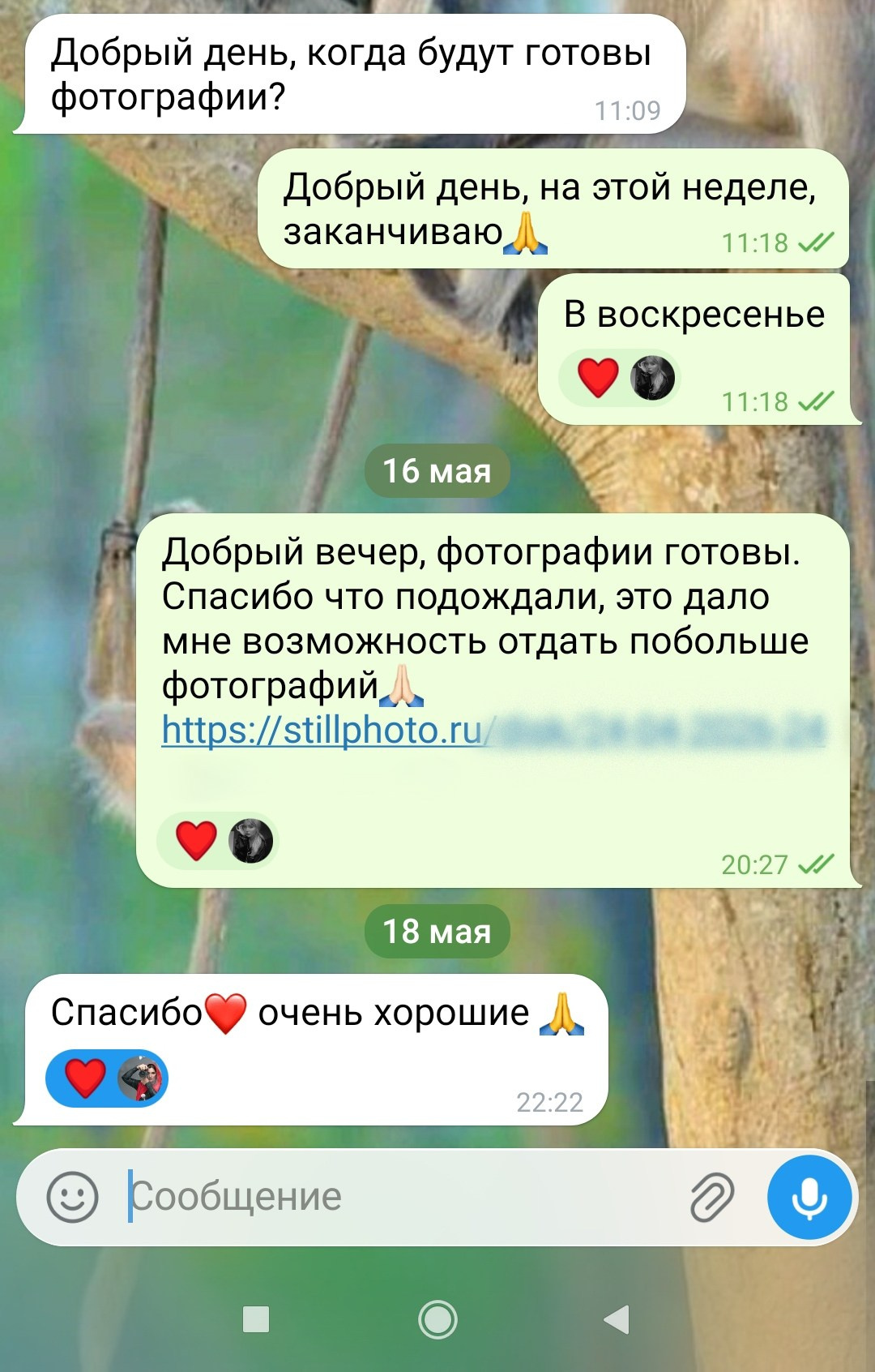 Фотосессии в Санкт-Петербурге со скидкой от -30%!