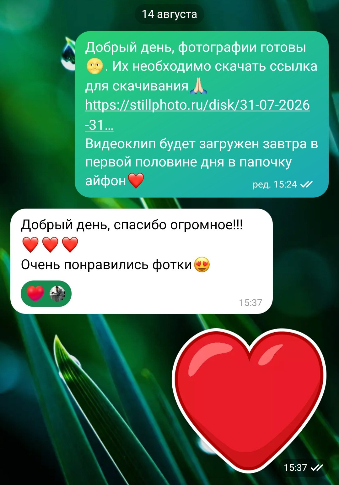 Фотосессии в Санкт-Петербурге со скидкой от -30%!