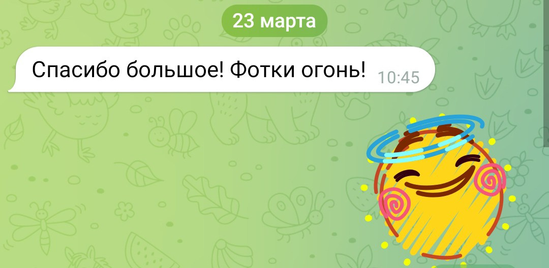 Фотосессии в Санкт-Петербурге со скидкой от -30%!