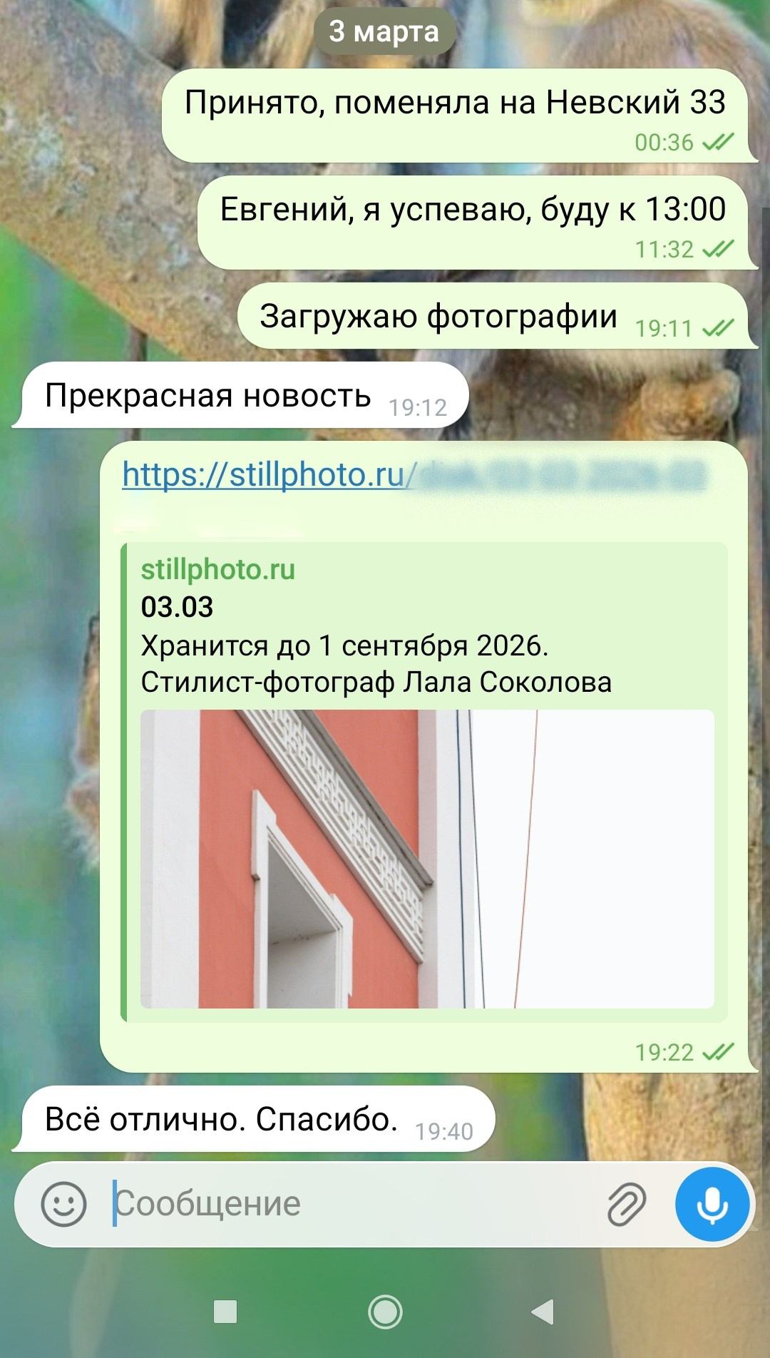 Фотосессии в Санкт-Петербурге со скидкой от -30%!