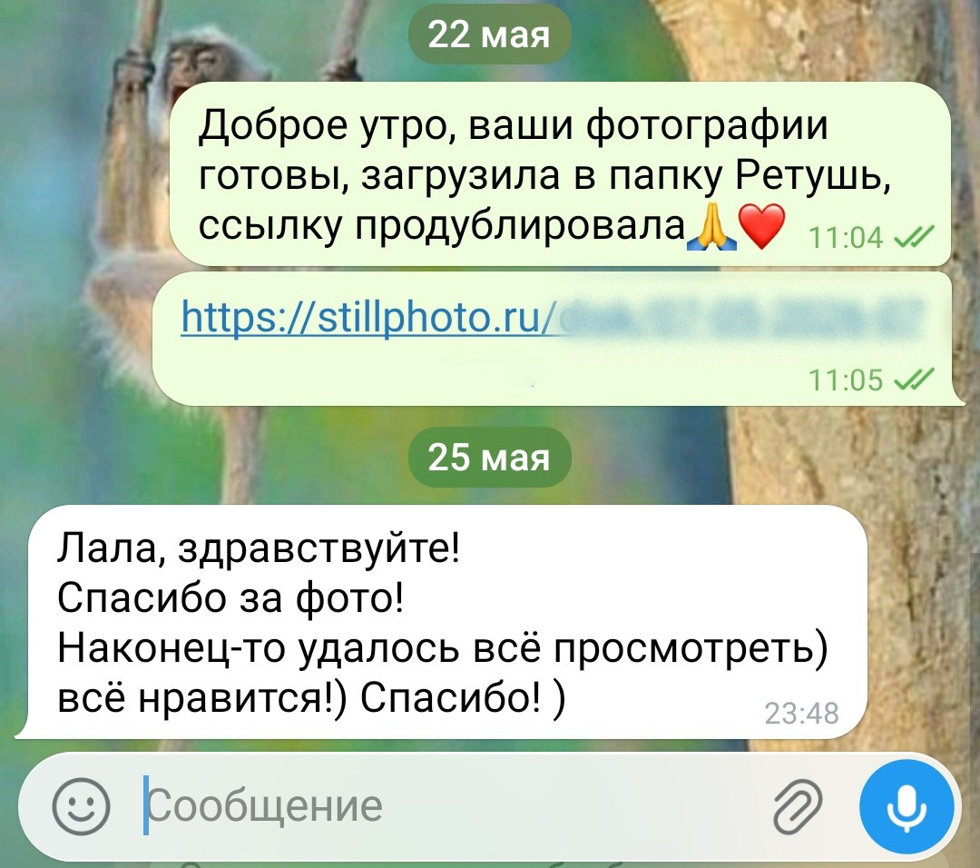 Фотосессии в Санкт-Петербурге со скидкой от -30%!