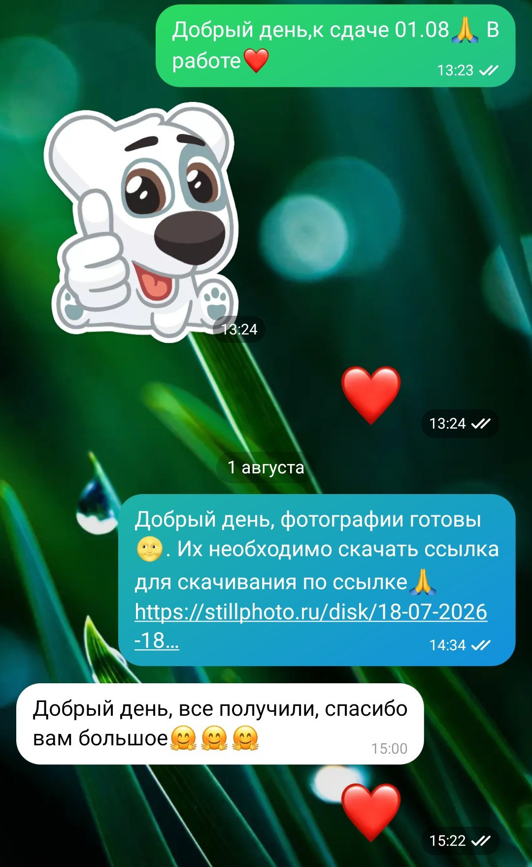 Фотосессии в Санкт-Петербурге со скидкой от -30%!