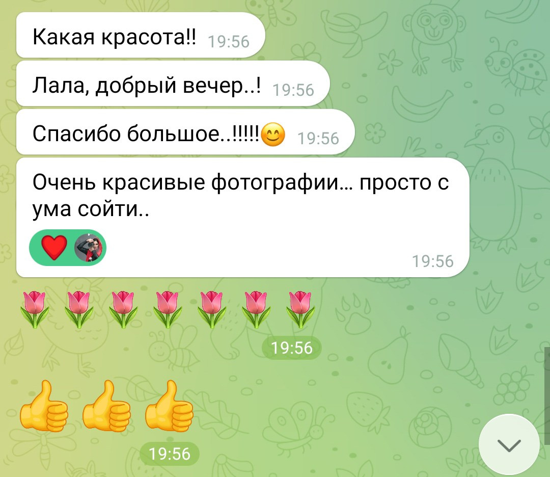 Фотосессии в Санкт-Петербурге со скидкой от -30%!