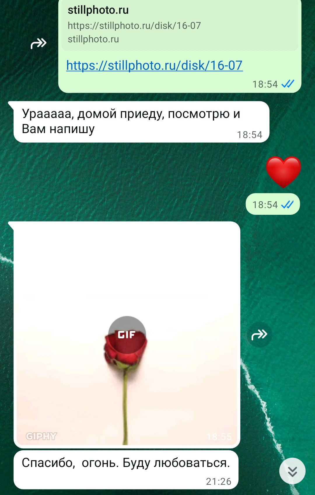 Фотосессии в Санкт-Петербурге со скидкой от -30%!