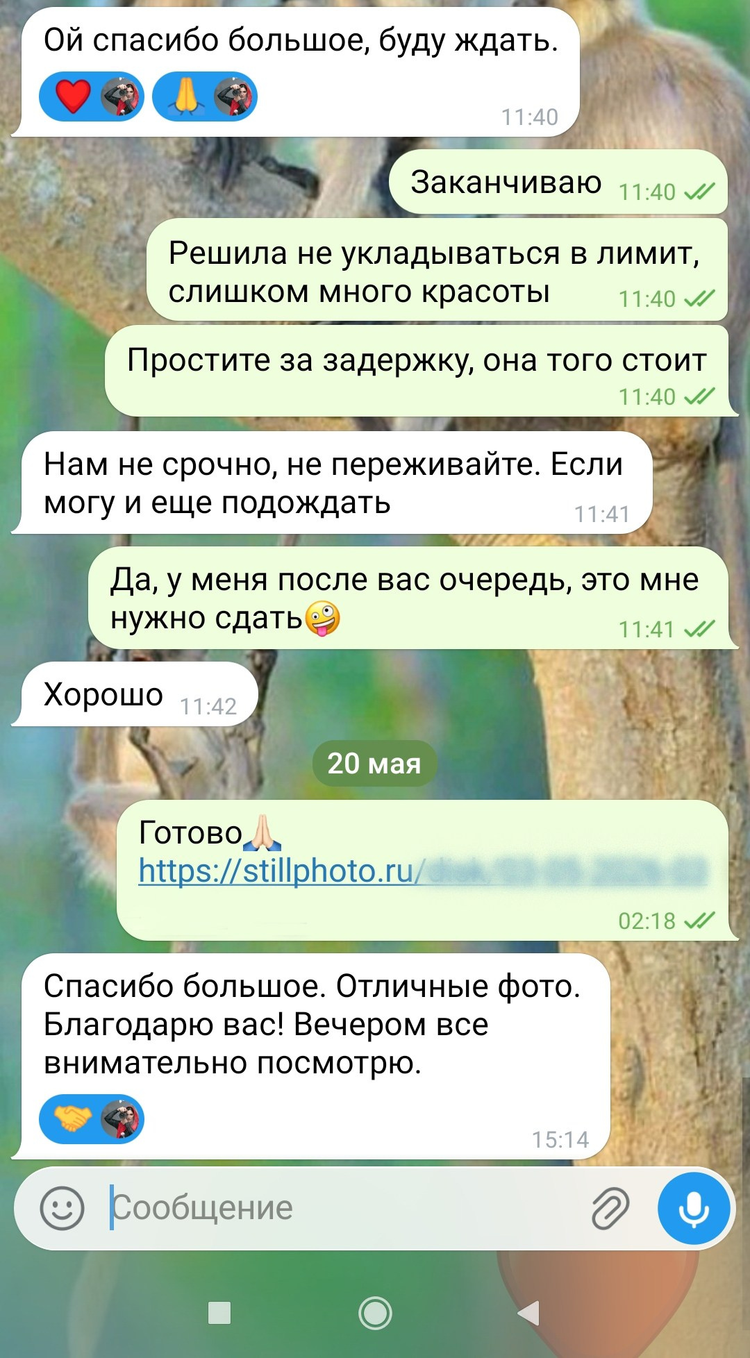 Фотосессии в Санкт-Петербурге со скидкой от -30%!