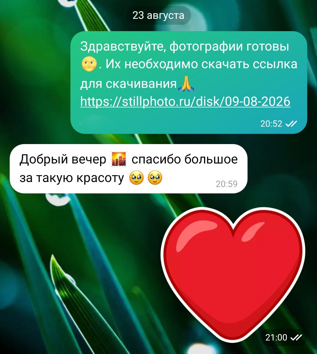 Фотосессии в Санкт-Петербурге со скидкой от -30%!