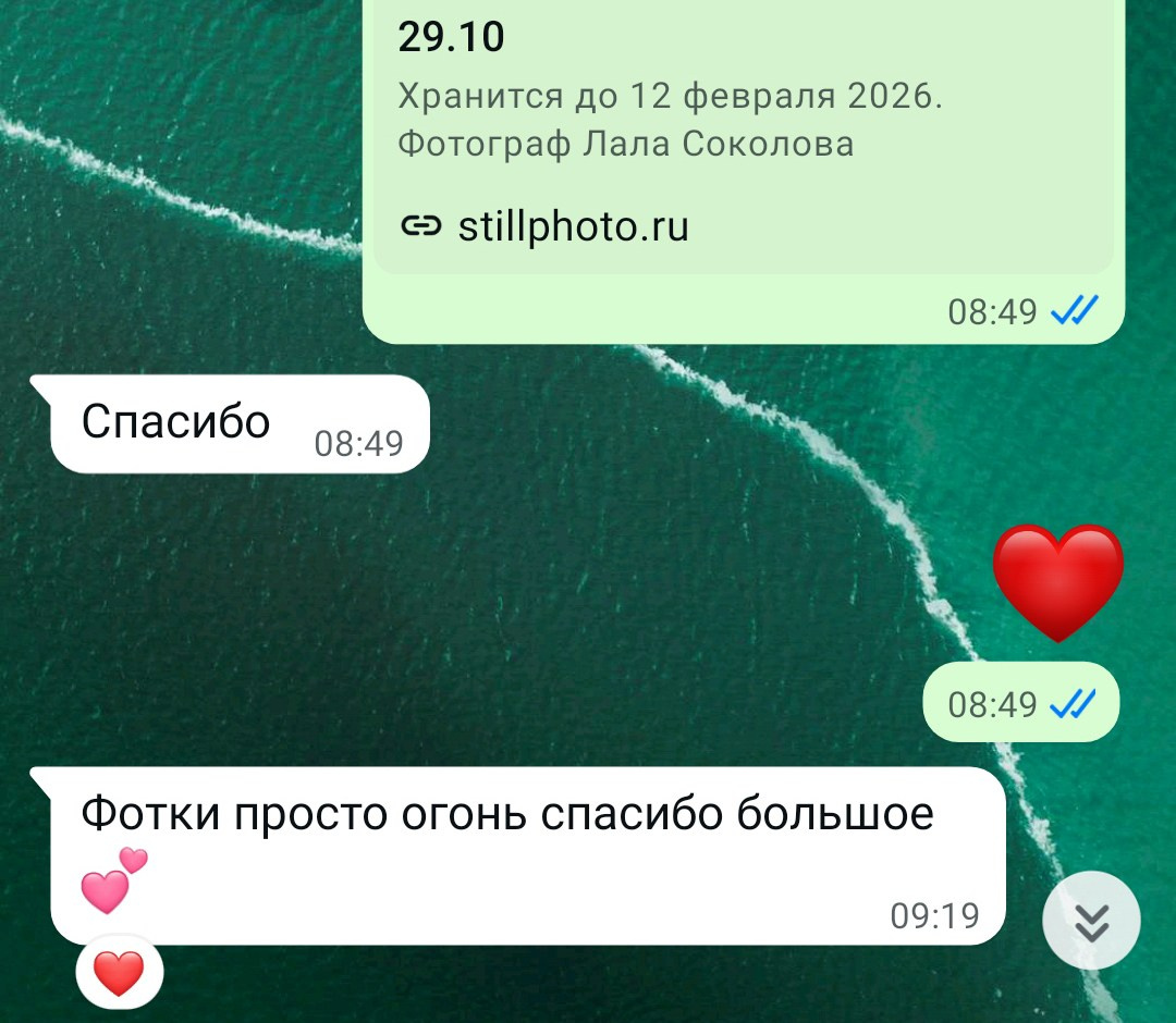 Фотосессии в Санкт-Петербурге со скидкой от -30%!