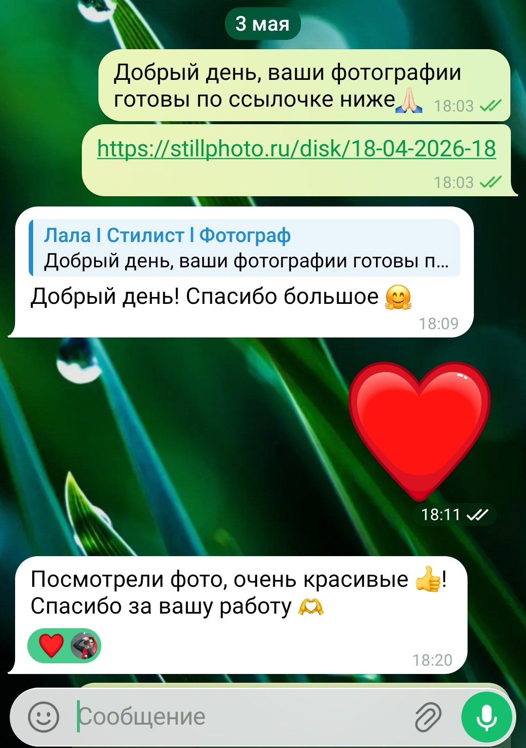 Фотосессии в Санкт-Петербурге со скидкой от -30%!