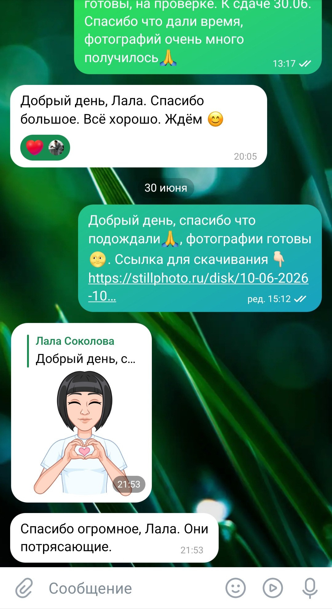Фотосессии в Санкт-Петербурге со скидкой от -30%!