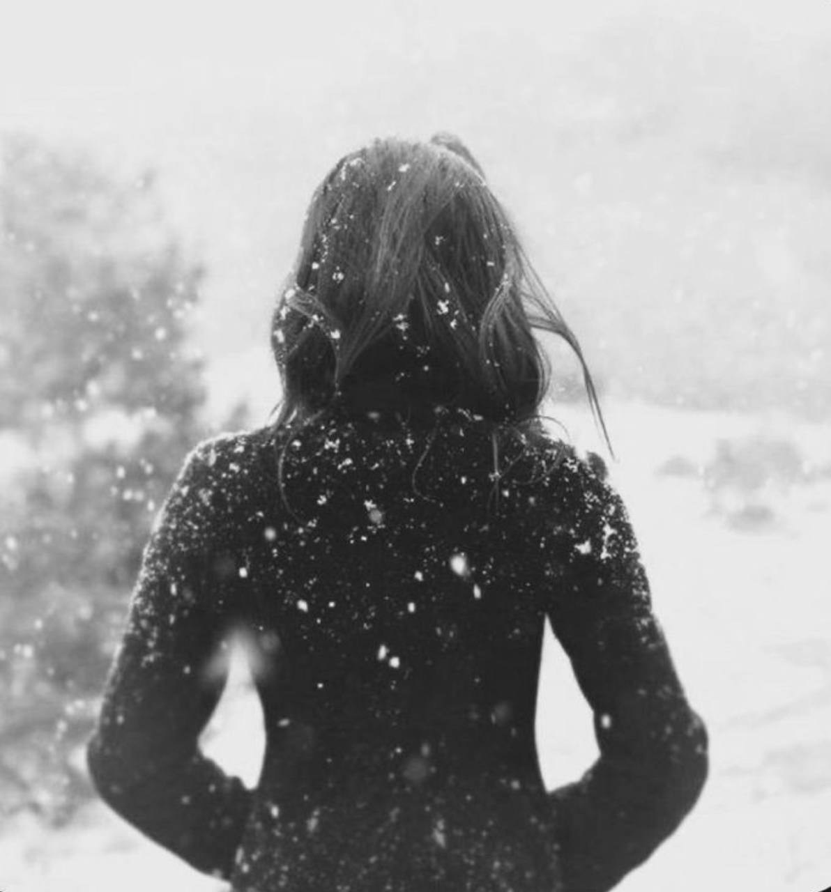 ***. Поэт Александр Зайцев