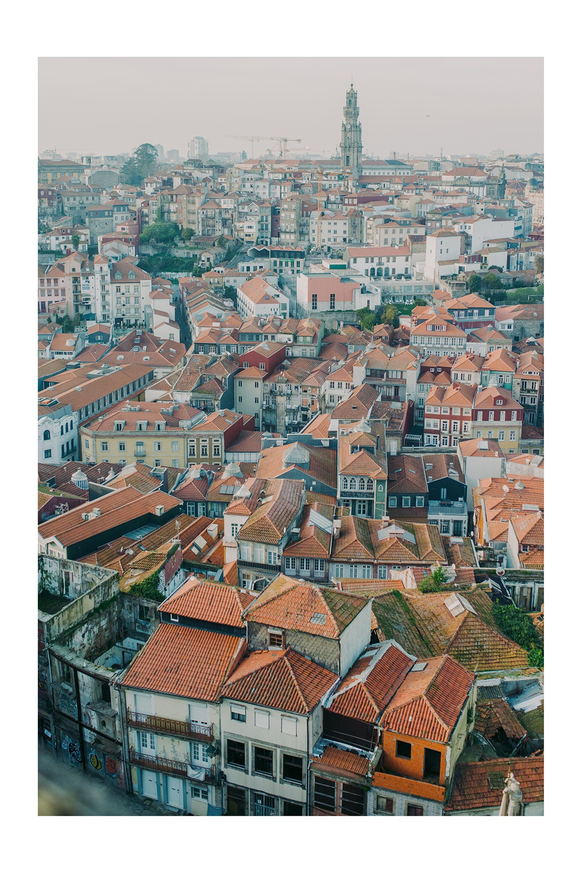 Prints and postcards. Porto Photographer Kristina Brazhnikova