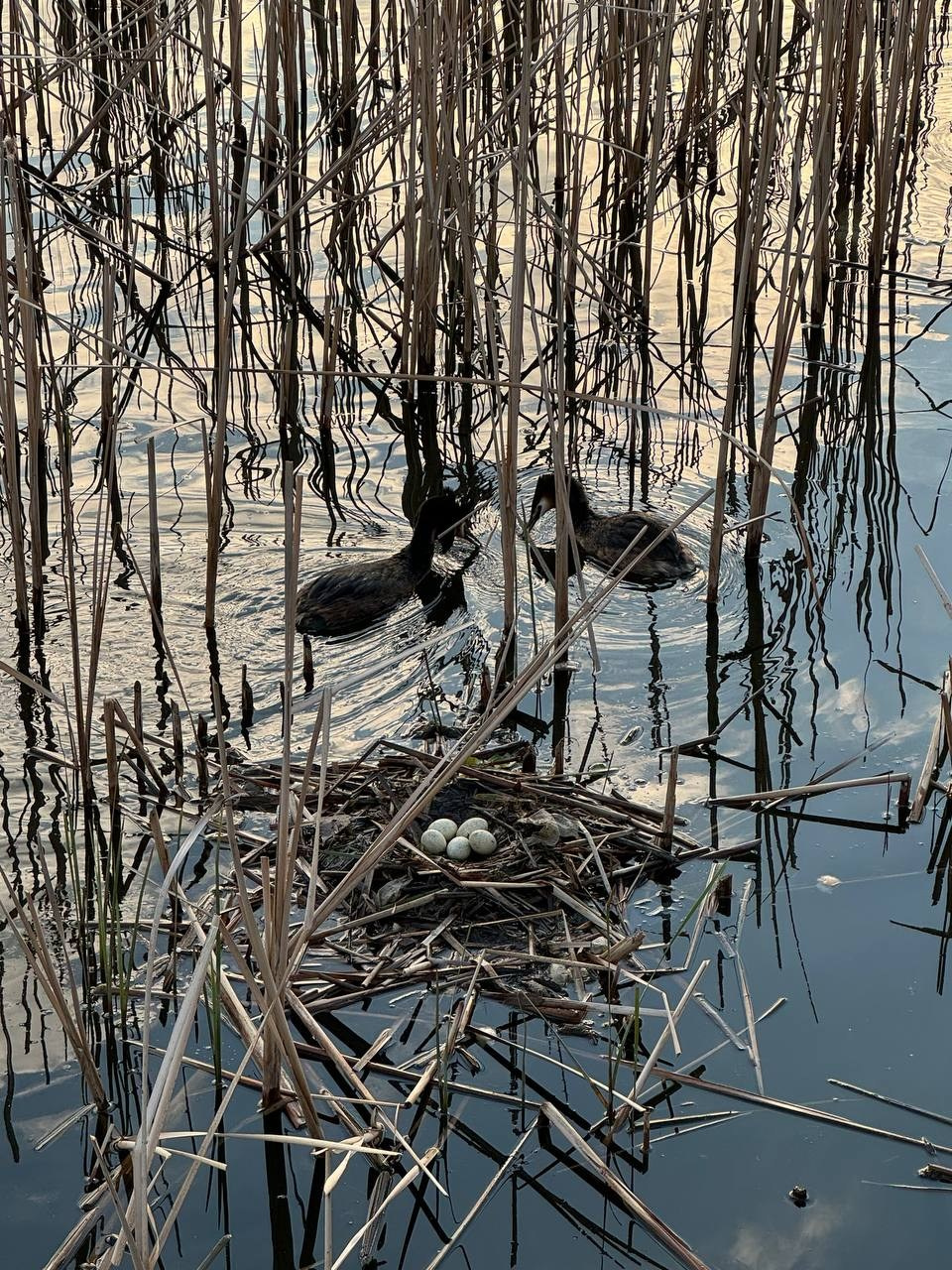 Идем на восток. Портретный фотограф Москва, репортаж и естественная постановка