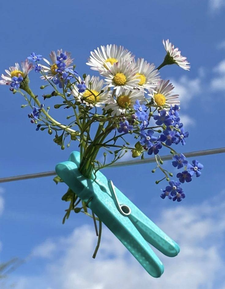 ПИКНИК. ПАРК. ПОЛЕ. СЕМЬЯ. ЛЕТО