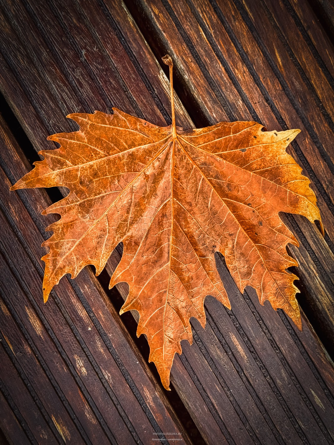 Vittoriale degli Italiani-Бывшая резиденция Габриеле Д’Аннунцио. Авторские стильные фотокартины