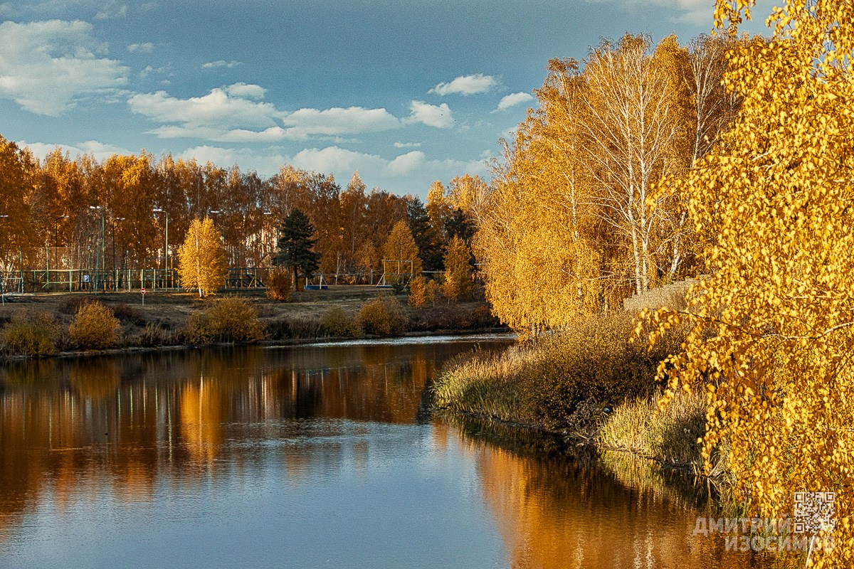 В последнюю осень