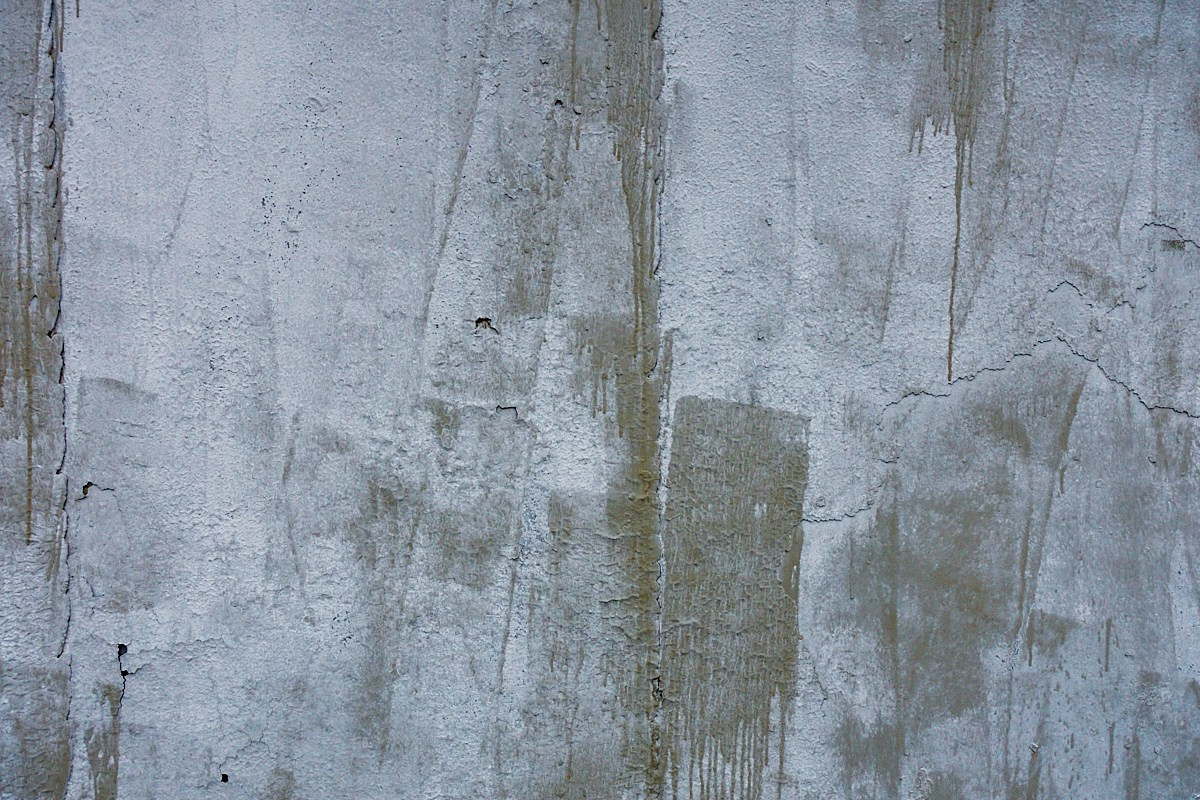 Слово. Иван Кобяков