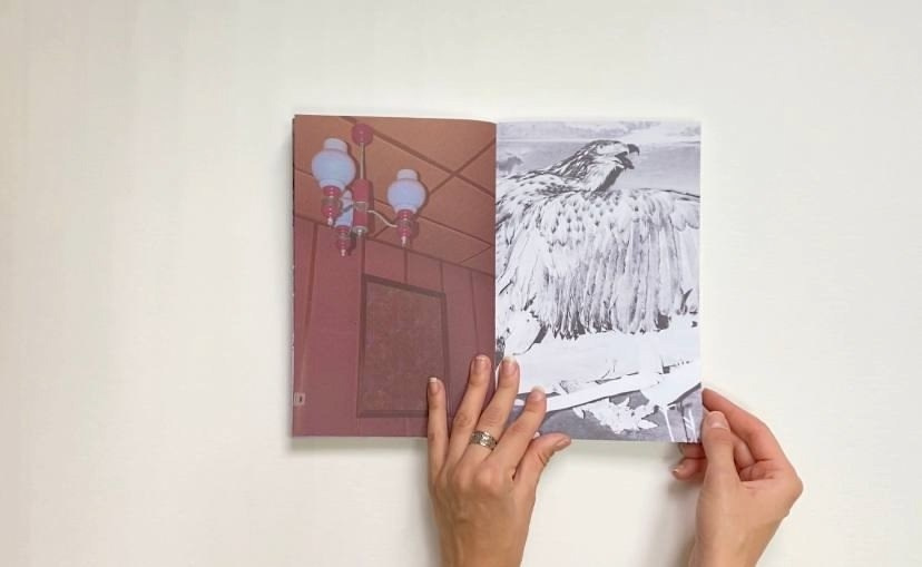 Фотокнига: Кристина Сергеева и Кристина Шкилева «Train to the Future». Самоорганизация Низина