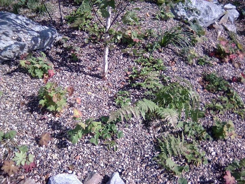 ВНИМАНИЕ! ФЕСТИВАЛЬ ЛАНДШАФТНОГО СТРОИТЕЛЬСТВА. 俄罗斯设计估算