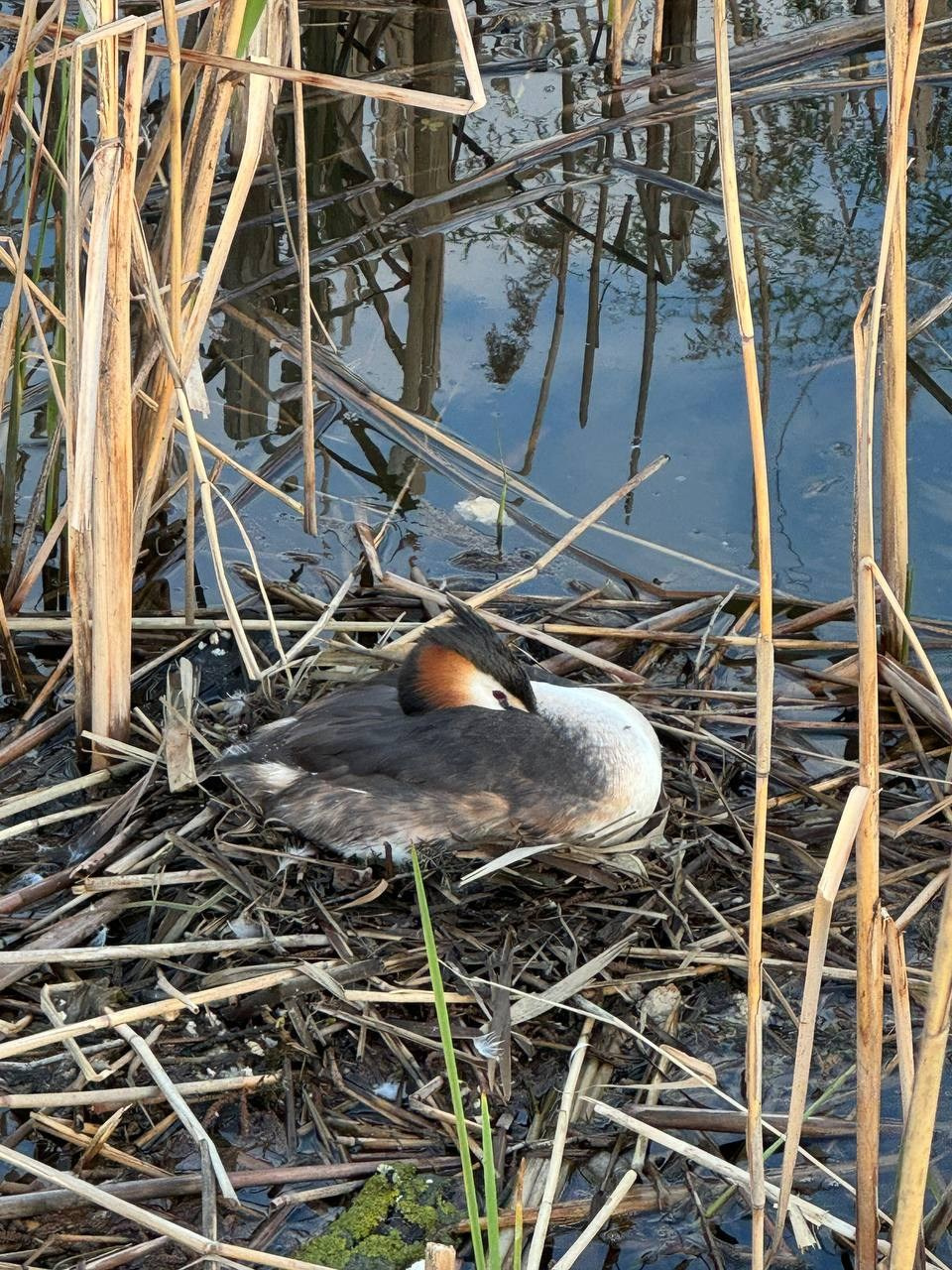 Идем на восток. Портретный фотограф Москва, репортаж и естественная постановка