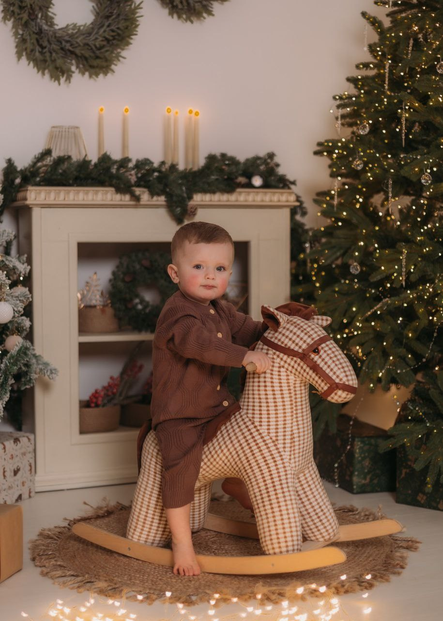 Новогодняя фотосессия семейная в Мытищах. Фотостудия «Птичка» Мытищи,