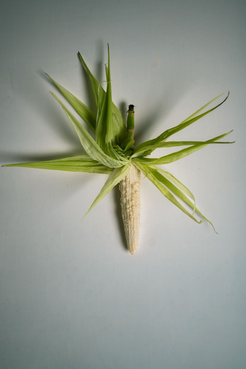 Абстрактный. Самид Али, фотограф из Санкт-Петербурга, Россия