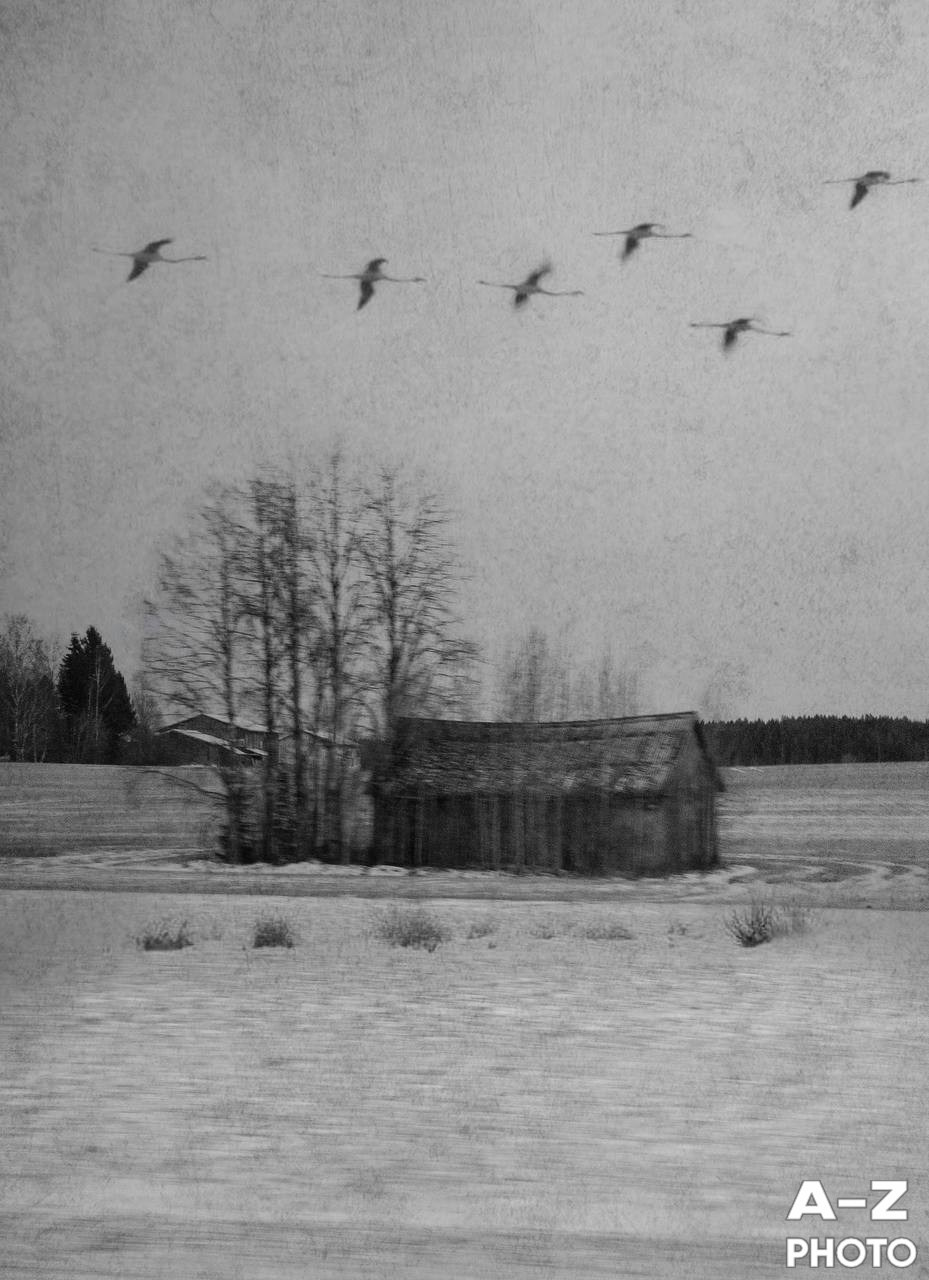 #ФОТОНЕДЕЛИ 30.03.2026. Женский семейный фотограф Тула Москва Захарова Анна