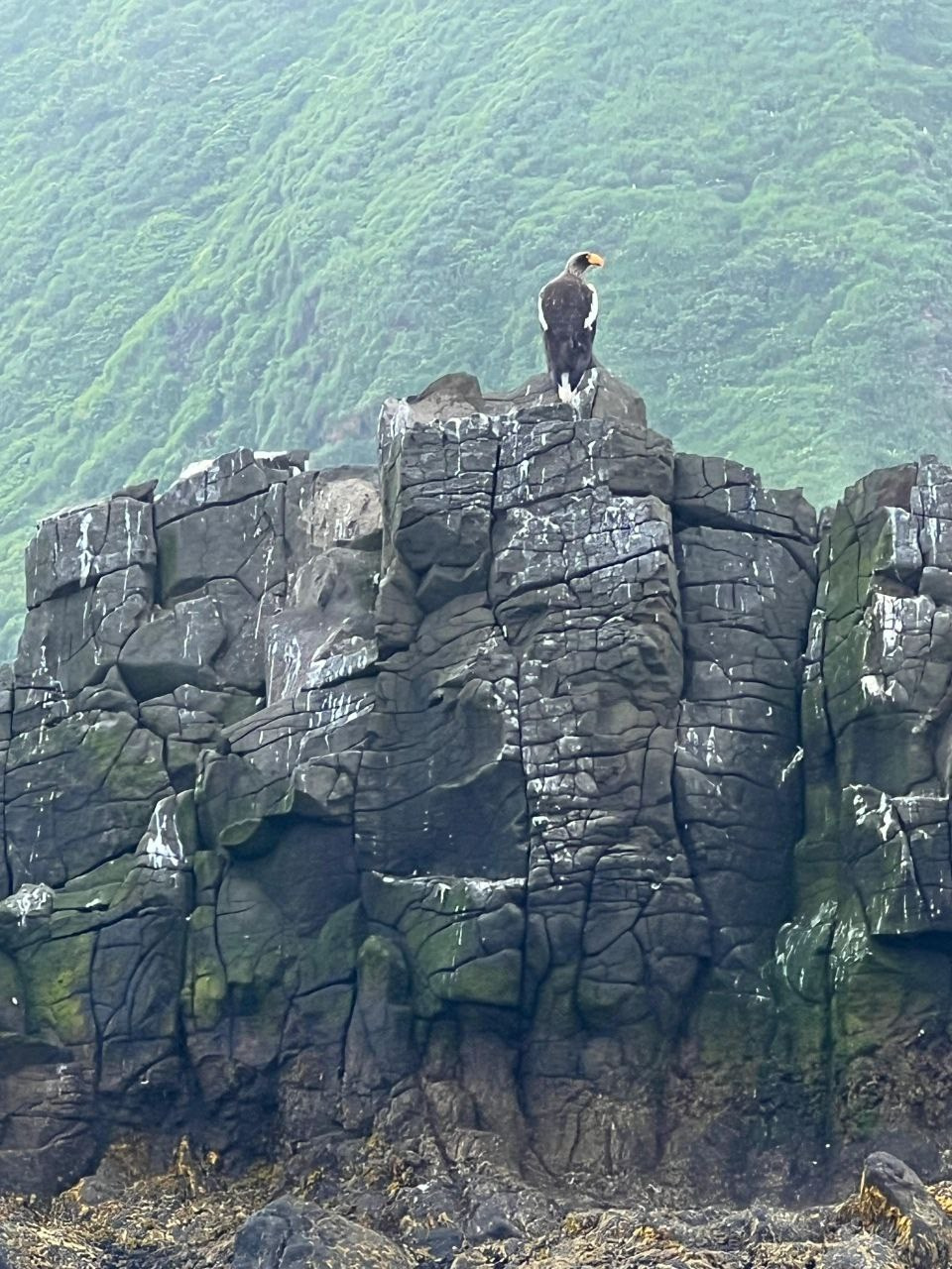 Морская прогулка в бухту Русскую. Экскурсионные туры по Камчатке