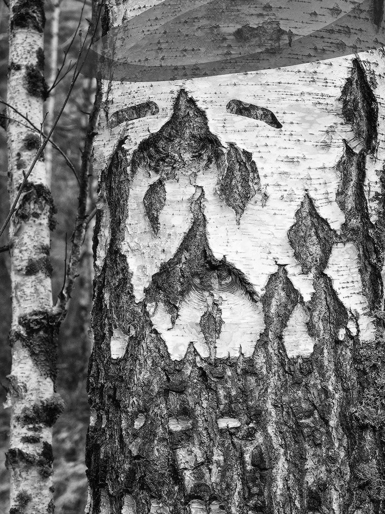 Projects. Landscape Photography by Aleksandr Leshchenok