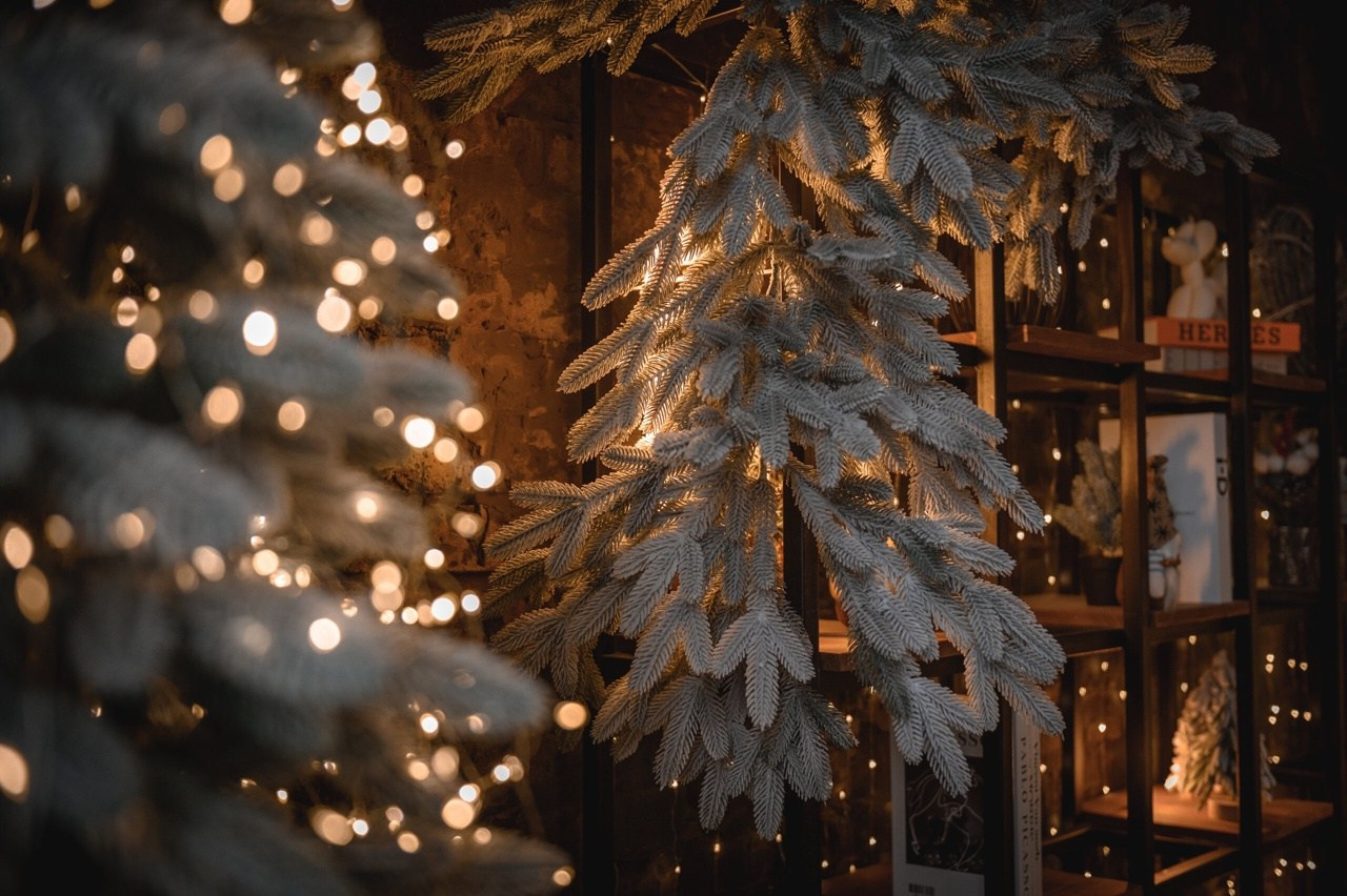 PRESTIGE. Фотограф Анастасия Крафт