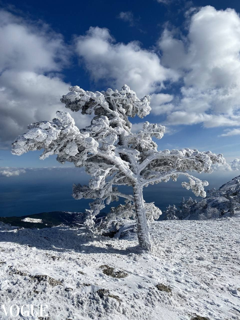 Годовая программа. Онлайн фотошкола просто о фото, фотограф, психолог фототерапия москва сочи анна ивкина