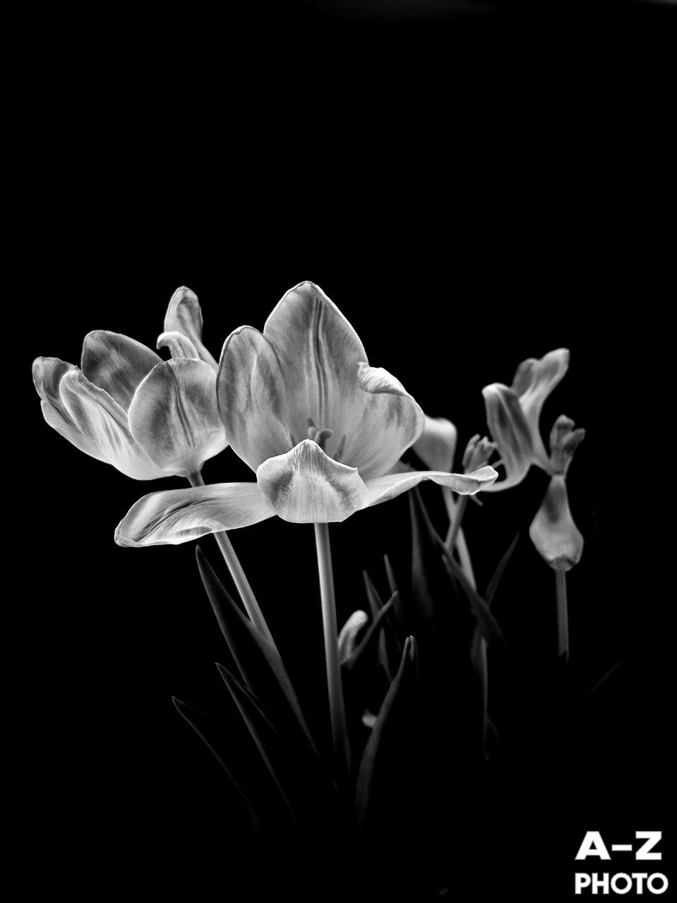 #ФОТОНЕДЕЛИ 16.03.2026. Женский семейный фотограф Тула Москва Захарова Анна