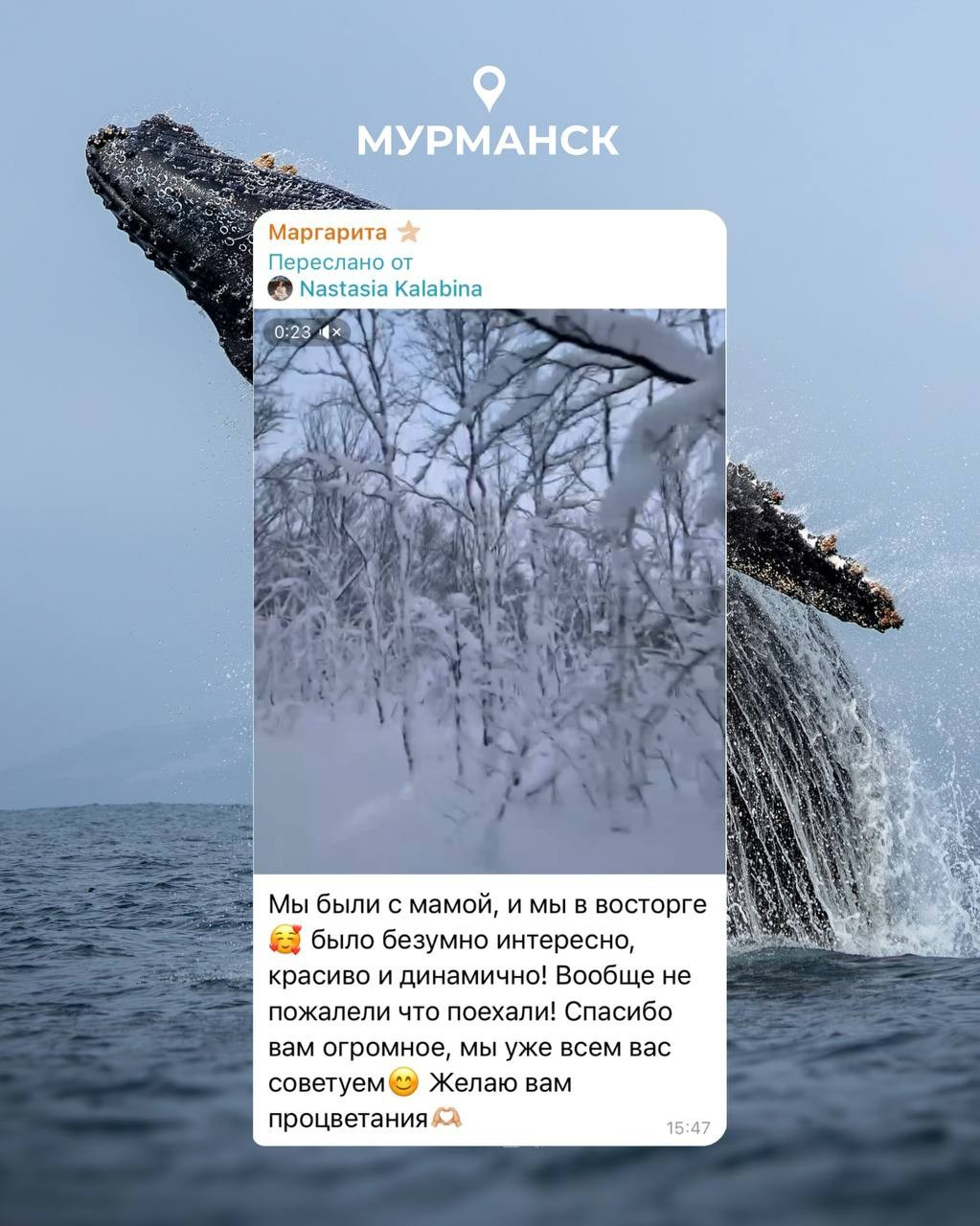 Мурманск | зима