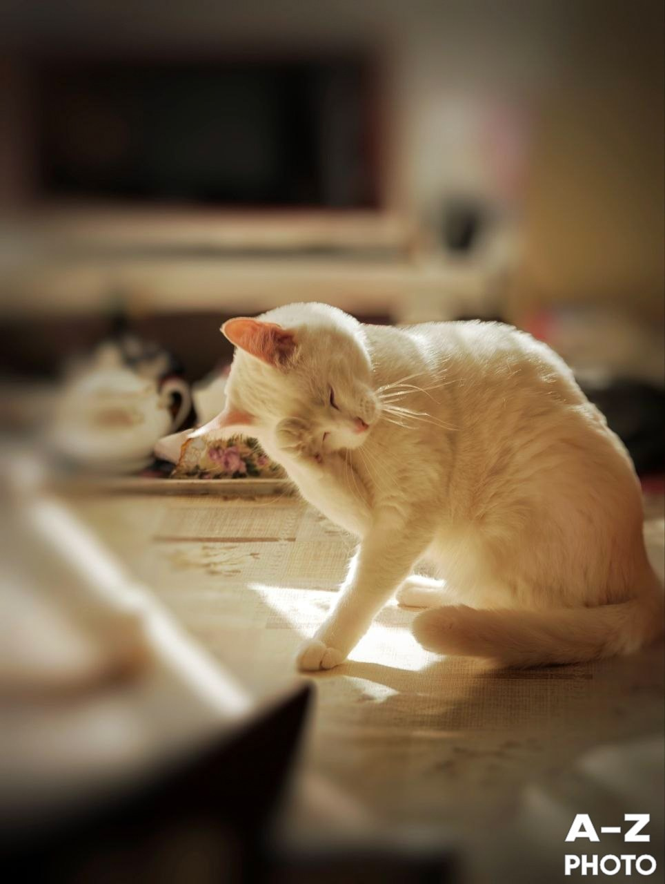 #ФОТОНЕДЕЛИ 06.04.2026. Женский семейный фотограф Тула Москва Захарова Анна