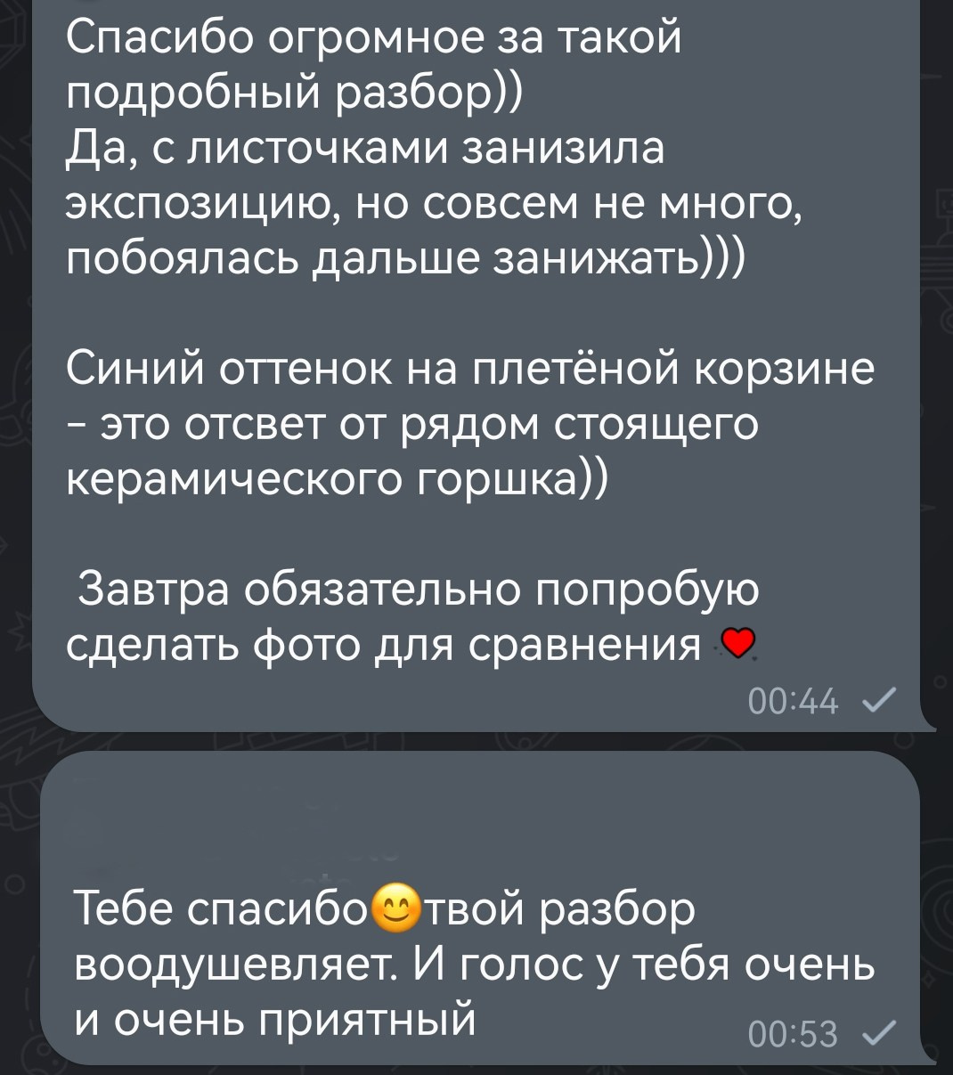 МК Мобильная фотография. Арт-фотограф Крис Л. в Тобольске: портрет, семейные, свадьбы