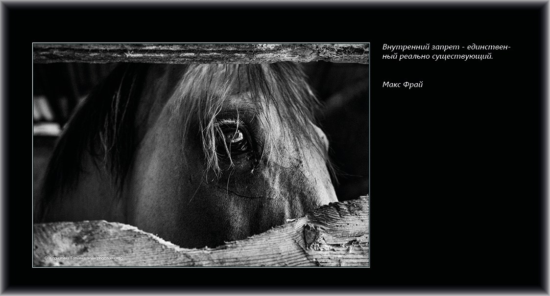 Совет дня — ориентир. Татьяна Корчагина. Фотограф, художник. Обучение фотографии